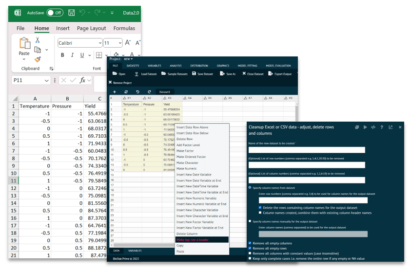 BioStat Prime Workflow